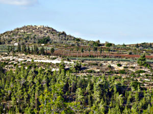 Biblical Tel Kiriath Jearim Excavation