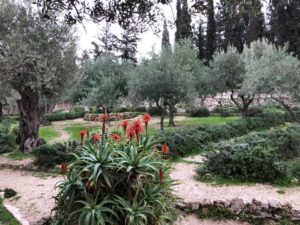 10 Things to Know Before Visiting Israel Christian Tours